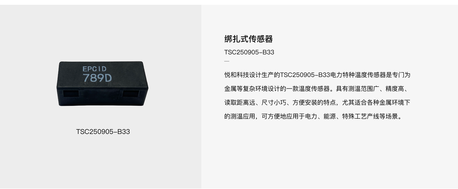 TSC250905-B33 绑扎式温度传感器(图1)